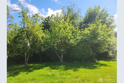 160 Gharet Road, Randle, WA 98377 - Photo 25