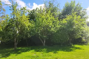 160 Gharet Rd, Randle, WA 98377 - Photo 25