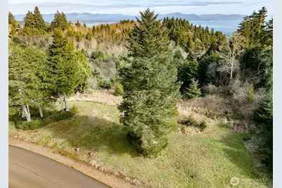 0 Lighthouse Keepers Road, Ilwaco, WA 98624 - Photo 3