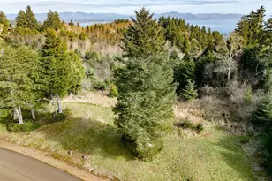 0 Lighthouse Keepers Rd, Ilwaco, WA 98624 - Photo 3
