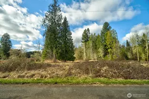 20217 Whitefish Ln SE, Tenino, WA 98589 - Photo 1