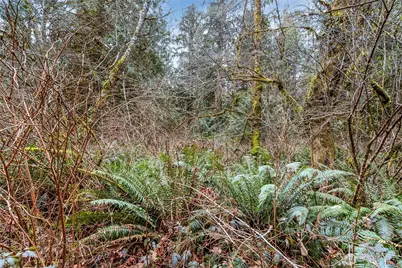 2902 136th Street NW, Gig Harbor, WA 98332 - Photo 9