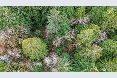 2902 136th Street NW, Gig Harbor, WA 98332 - Photo 13