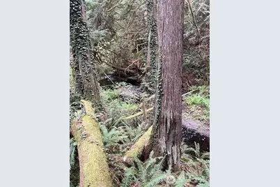 2902 136th Street NW, Gig Harbor, WA 98332 - Photo 3