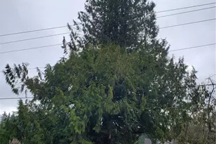 7740 196th Ave NE, Redmond, WA 98053 - Photo 27