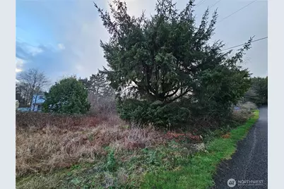 19 N 3rd Street, Pacific Beach, WA 98571 - Photo 3