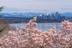 3224 S Lane St, Seattle, WA 98144 - Photo 7