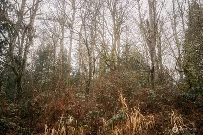 0 Lopez Street, Bellingham, WA 98229 - Photo 5