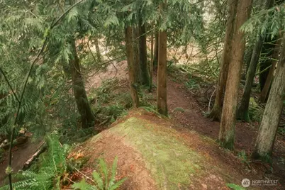 0 Lopez Street, Bellingham, WA 98229 - Photo 29