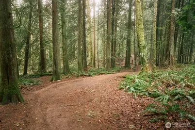 0 Lopez Street, Bellingham, WA 98229 - Photo 19