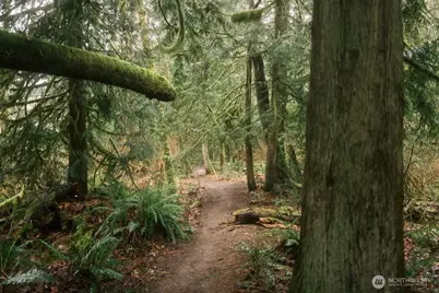 0 Lopez Street, Bellingham, WA 98229 - Photo 13