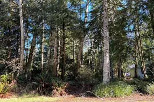 336 Hyde Ct NE, Ocean Shores, WA 98569 - Photo 1