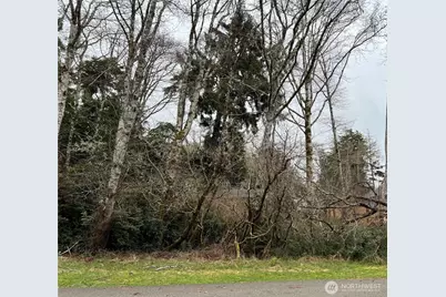 308 Lake View Loop NE, Ocean Shores, WA 98569 - Photo 1