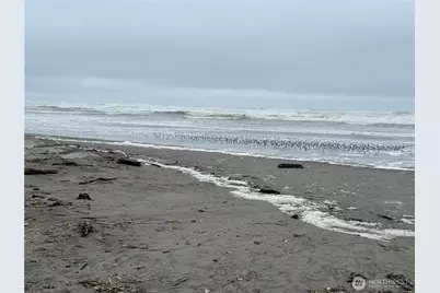 1323 196th Place, Long Beach, WA 98631 - Photo 25