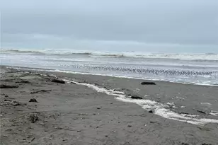 1323 196th Pl, Long Beach, WA 98631 - Photo 25