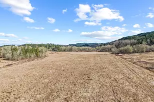 840 Evans Rd, Toledo, WA 98591 - Photo 31