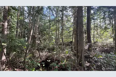 64 Doe Place, Sequim, WA 98383 - Photo 25