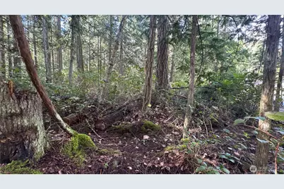 64 Doe Place, Sequim, WA 98383 - Photo 17