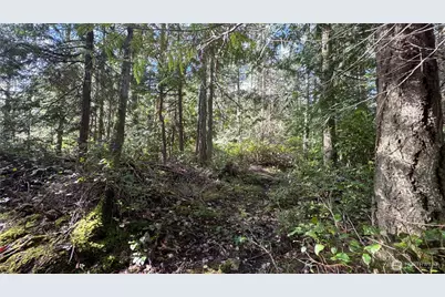 64 Doe Place, Sequim, WA 98383 - Photo 21