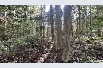 64 Doe Place, Sequim, WA 98383 - Photo 23