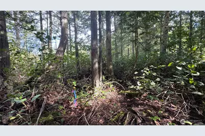 64 Doe Place, Sequim, WA 98383 - Photo 15