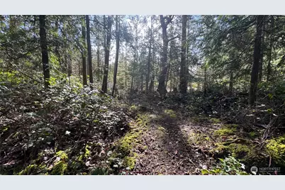 64 Doe Place, Sequim, WA 98383 - Photo 19