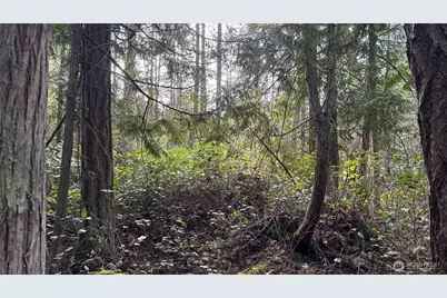 64 Doe Place, Sequim, WA 98383 - Photo 9