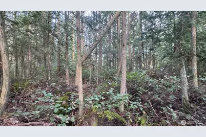 64 Doe Place, Sequim, WA 98383 - Photo 13