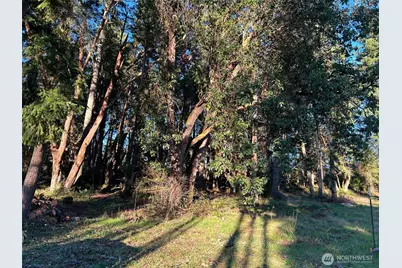0 Lemolo Shore, Parcel 3-006 Drive NE, Poulsbo, WA 98370 - Photo 11