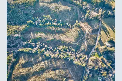 0 Tract 3 South Valley Road, Naselle, WA 98638 - Photo 7