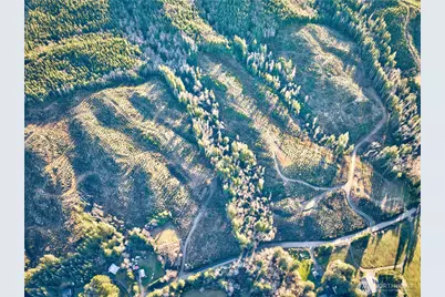 0 Tract 3 South Valley Road, Naselle, WA 98638 - Photo 5