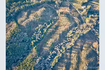 0 Tract 3 South Valley Road, Naselle, WA 98638 - Photo 9
