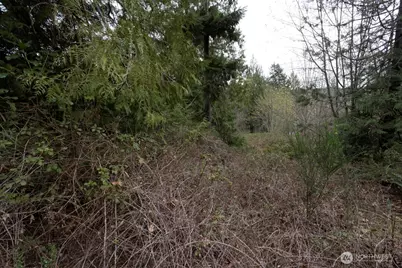 0 Clear Creek Road NW, Silverdale, WA 98383 - Photo 17