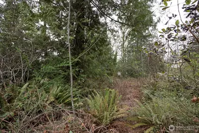 0 Clear Creek Road NW, Silverdale, WA 98383 - Photo 15