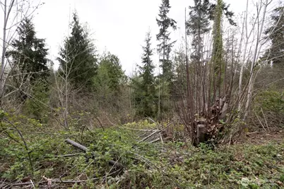 0 Clear Creek Road NW, Silverdale, WA 98383 - Photo 19