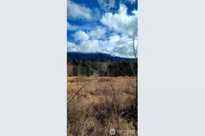 2610 E 39th Terrace, Bellingham, WA 98266 - Photo 11