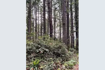 135 NW Walker Road, Poulsbo, WA 98370 - Photo 21