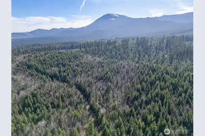 0 Deer Park Lot 1 Road, Port Angeles, WA 98362 - Photo 7
