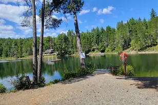 60 N Diamond Head Dr, Lilliwaup, WA 98555 - Photo 33