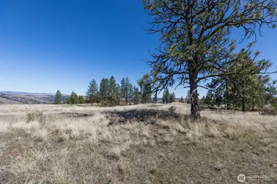 0 Xxx Miles Creston Road N, Davenport, WA 99122 - Photo 13