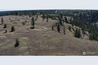 0 Xxx Miles Creston Road N, Davenport, WA 99122 - Photo 19