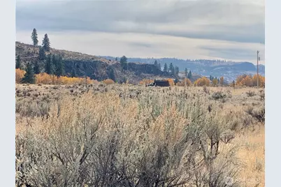 0 Road 20 NW Or Peach Rd, Mansfield, WA 98843 - Photo 3