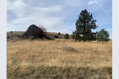 0 Road 20 NW Or Peach Rd, Mansfield, WA 98843 - Photo 9