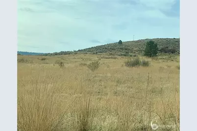 0 Road 20 NW Or Peach Rd, Mansfield, WA 98843 - Photo 11