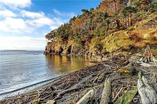 265 Madrona Dr, Friday Harbor, WA 98250 - Photo 37