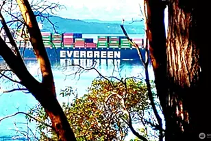 265 Madrona Dr, Friday Harbor, WA 98250 - Photo 23