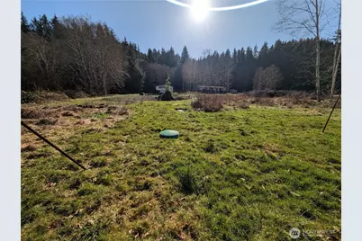215 Elk Creek Ridge Road, Forks, WA 98331 - Photo 13