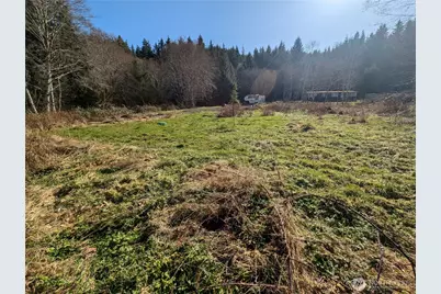 215 Elk Creek Ridge Road, Forks, WA 98331 - Photo 11