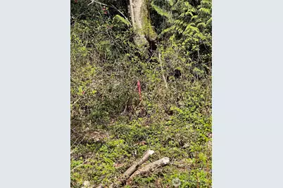 29 K Beach Way, Hat Island, WA 98206 - Photo 11