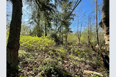 29 K Beach Way, Hat Island, WA 98206 - Photo 5